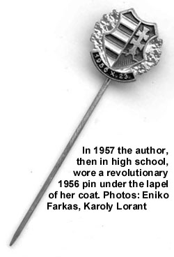 1956 Revolutionary lapel pin